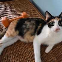 Thumbnail photo of Katy #2