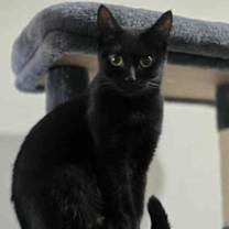 Thumbnail photo of Meemaw #2