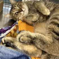 Thumbnail photo of Vera Cruz #2