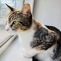 Thumbnail photo of Charlotte #3