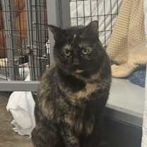 Thumbnail photo of Lana #2