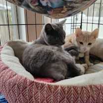 Thumbnail photo of Derrick #2