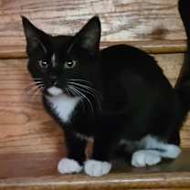 Thumbnail photo of Freya #1