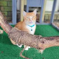 Thumbnail photo of LILLY #2