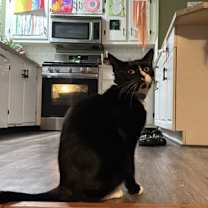 Thumbnail photo of Daisy #3