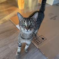 Thumbnail photo of Sagebrush #3