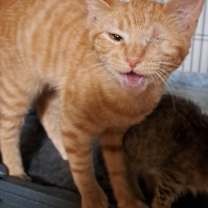 Thumbnail photo of Hay Hay #3