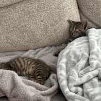 Thumbnail photo of Atlas #3