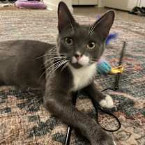 Thumbnail photo of Nadia #2