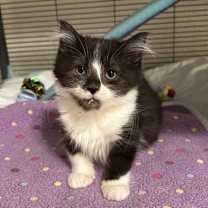 Thumbnail photo of Lydia #1