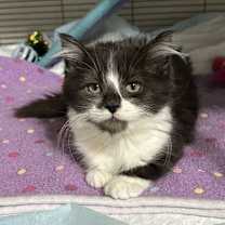 Thumbnail photo of Lydia #2