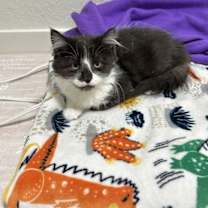 Thumbnail photo of Lydia #3