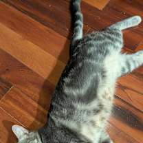 Thumbnail photo of Delaney #1