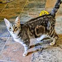 Thumbnail photo of Delaney #2