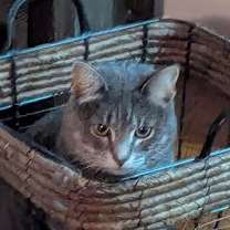 Thumbnail photo of Hyrri 6.1.21 #2