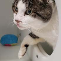 Thumbnail photo of Cave of Wonders #1