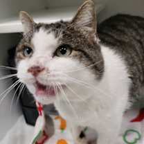 Thumbnail photo of Cave of Wonders #2