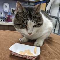 Thumbnail photo of Cave of Wonders #3