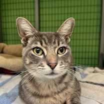 Thumbnail photo of Stevie Wonpurr #4