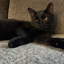 Thumbnail photo of Gwen #3