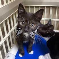 Thumbnail photo of Billy Madison #1