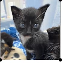 Thumbnail photo of Billy Madison #2