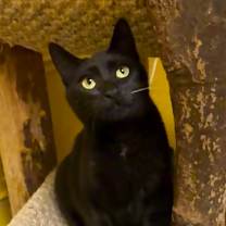 Thumbnail photo of Pal #3