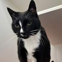 Thumbnail photo of Sophie #1