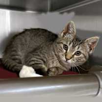 Thumbnail photo of Elsa #1