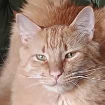 Thumbnail photo of Jaspurr #1