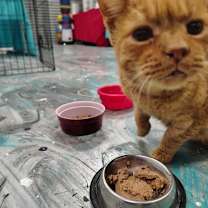 Thumbnail photo of Tom #3