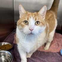 Thumbnail photo of Ida #2