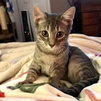 Thumbnail photo of Luisa #2