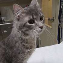 Thumbnail photo of Douglas Furr #1