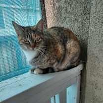 Thumbnail photo of Baby #1