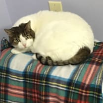 Thumbnail photo of Princess #1