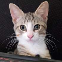 Thumbnail photo of Hailey #1