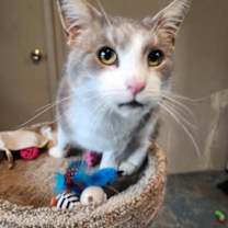 Thumbnail photo of Eugene #1