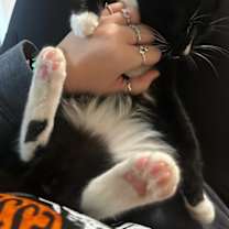 Thumbnail photo of Squeegee #3