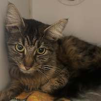 Thumbnail photo of Carol #2