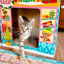 Thumbnail photo of Jingle #3