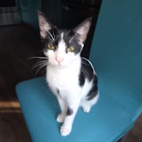 Thumbnail photo of VAQUITA #1