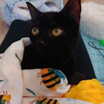 Thumbnail photo of Zoe #1