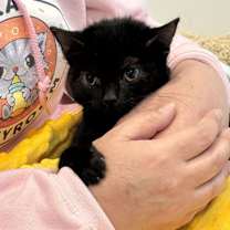 Thumbnail photo of Zoe #3