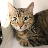 Thumbnail photo of Catalina #1