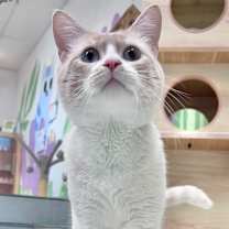 Thumbnail photo of Stu #3