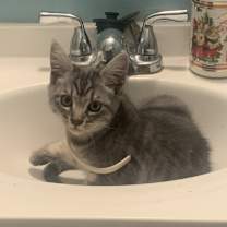 Thumbnail photo of Betty #1