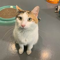 Thumbnail photo of Julia #1