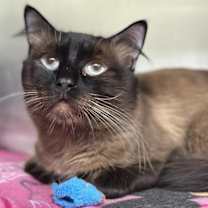 Thumbnail photo of Quintin #1