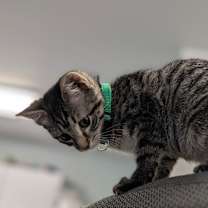 Thumbnail photo of Valerie #1